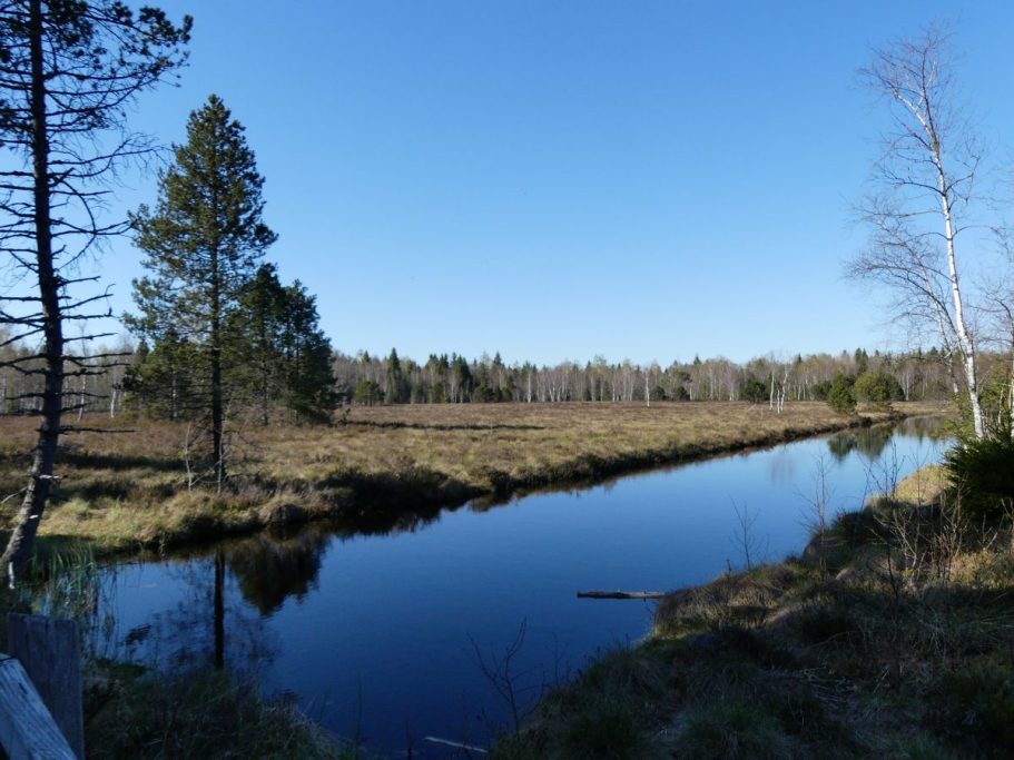 Tourbières de Frasne 2 Chalet du Haut-Doubs _ gite-pontarlier.fr _ Tourbières de Frasne 2