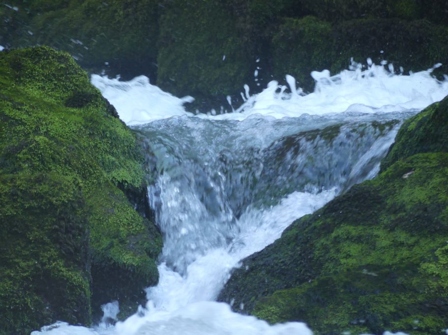 Source de la Loue 8 Chalet du Haut-Doubs _ gite-pontarlier.fr _ Source de la Loue 8