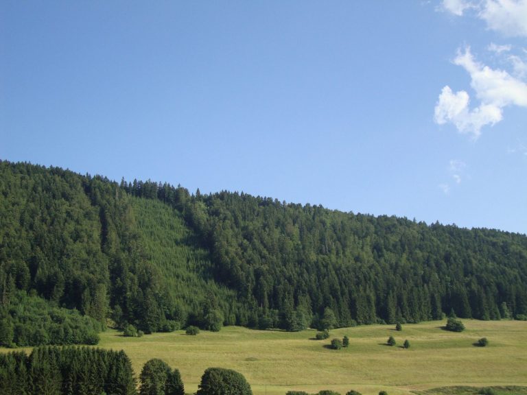 Chalet du Haut-Doubs _ gite-pontarlier.fr _ Vue depuis le Chalet
