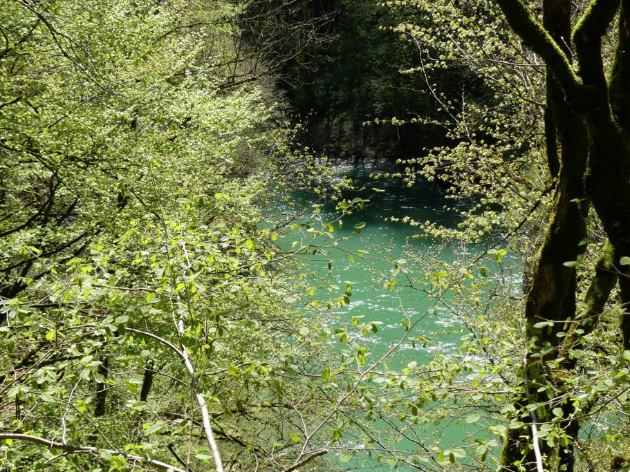 Source de la Loue 7 Chalet du Haut-Doubs _ gite-pontarlier.fr _ Source de la Loue 7