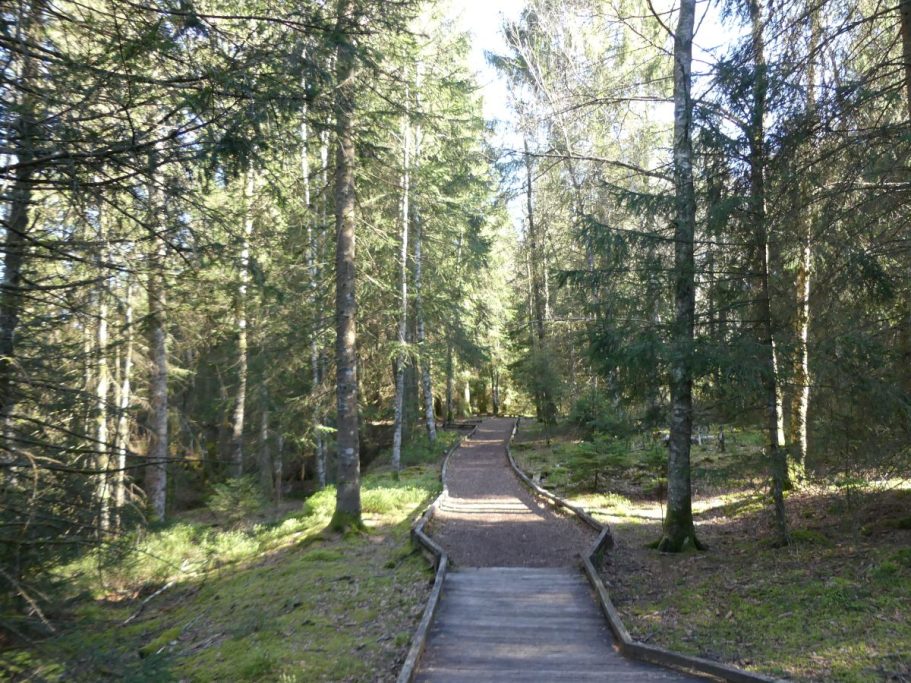 Tourbières de Frasne 4 Chalet du Haut-Doubs _ gite-pontarlier.fr _ Tourbières de Frasne 4