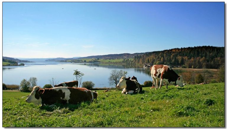 "Le Chalet du Haut Doubs" _ gite-pontarlier.fr _ Lac Saint Point