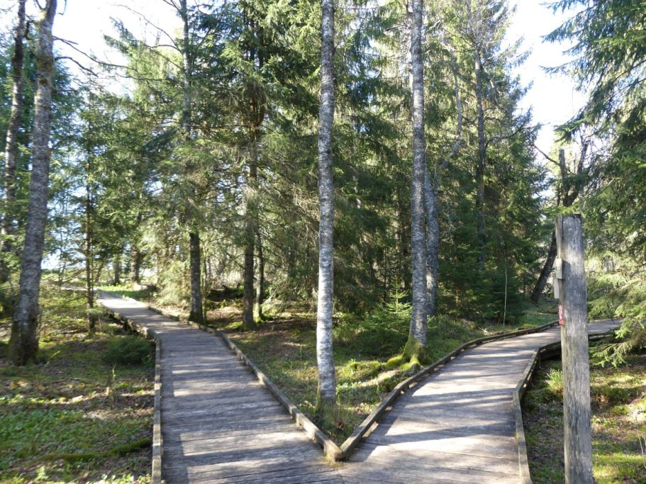 Tourbières de Frasne 1 Chalet du Haut-Doubs _ gite-pontarlier.fr _ Tourbières de Frasne 1