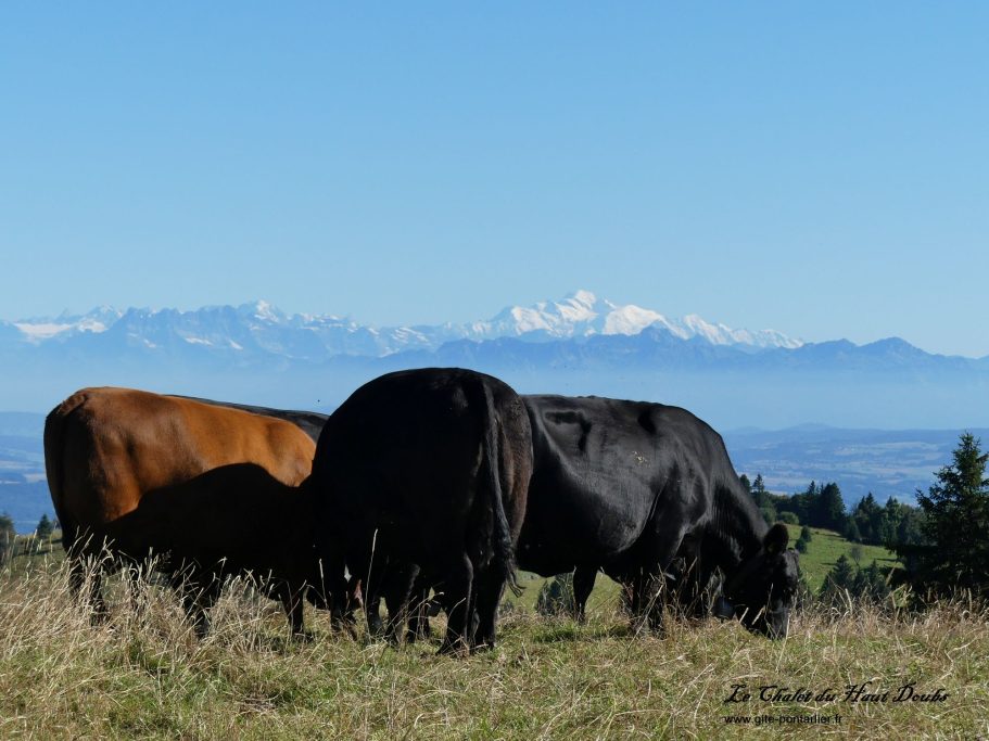 Vu depuis le Creux du Van 1 Chalet du Haut-Doubs _ gite-pontarlier.fr _ Vu depuis le Creux du Van 1
