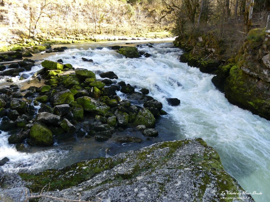Saut du Doubs 1 Chalet du Haut-Doubs _ gite-pontarlier.fr _ Saut du Doubs 1
