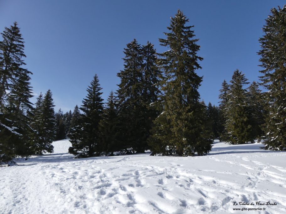 Le Chasseron 7 Chalet du Haut-Doubs _ gite-pontarlier.fr _ Le Chasseron 7
